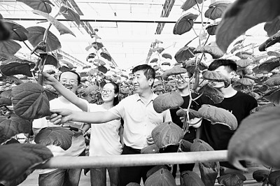 为强农兴农贡献高校智慧 为强农兴农贡献高校智慧