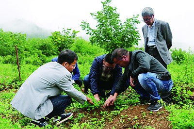 践行“绿水青山就是金山银山”理念 打造东西部扶贫协作示范样本