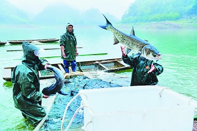 中秋月圆时 共话家国情