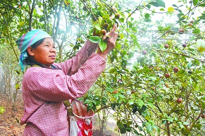 先行示范强担当 精准发力见实效