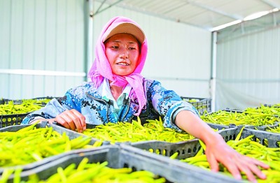 充满收获的五年,我们以奋斗姿态走过 充满收获的五年,我们以奋斗姿态走过