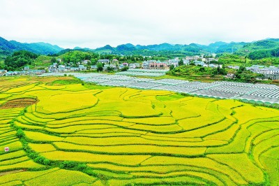 现代化建设全局中的核心地位——访原国家行政学院副院长周文彰