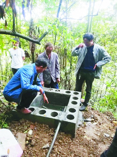 “茶”“菜”发力 致富加速——贵州省普安县卡塘村的脱贫之路