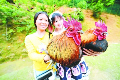 “三业联动”打赢脱贫攻坚“翻身仗”