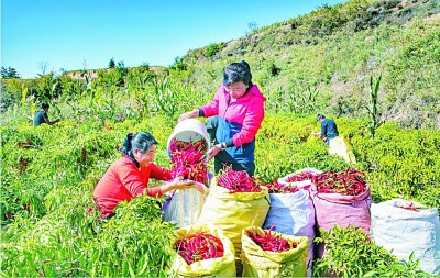 吕梁精神：望不穿的大山深沟，说不尽的不屈故事