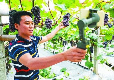 引导+扶持 小镇青年走向出彩人生