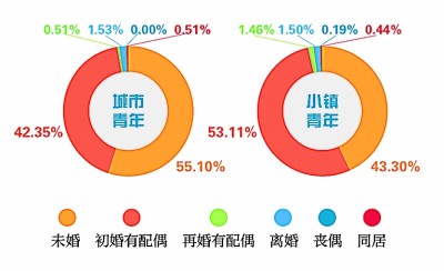 引导+扶持 小镇青年走向出彩人生