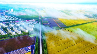 北大荒开发建设:铺展中国特色农业现代化之路 北大荒开发建设:铺展中国特色农业现代化之路