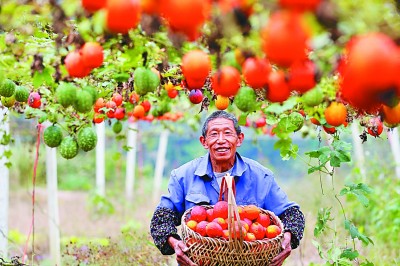 百年承诺 千年跨越 56个民族一起奔小康