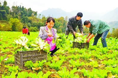 有效衔接脱贫攻坚与乡村振兴