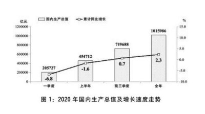 关于2020年国民经济和社会发展计划执行情况与2021年国民经济和社会发展计划草案的报告