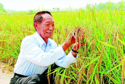 把饭碗牢牢端在自己手里