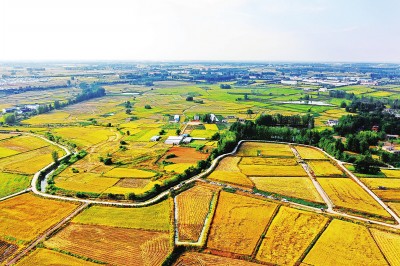 “大包干”开启农村改革序幕