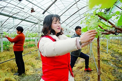 “十四五”开局之年，乡村振兴如何破题