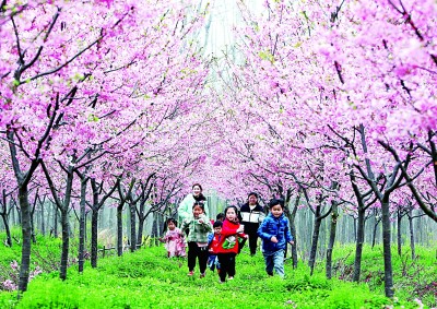 “十四五”开局之年，乡村振兴如何破题