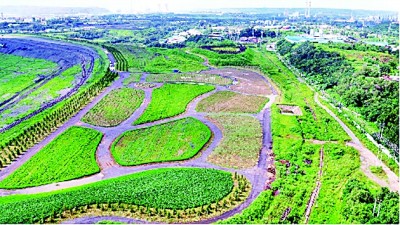 在“破”与“立”中育新机