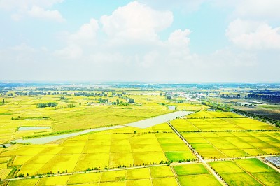 建设经济强百姓富生态美的现代化安徽