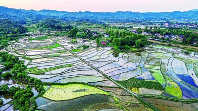 江西：赣鄱大地绘出日新月异发展图景