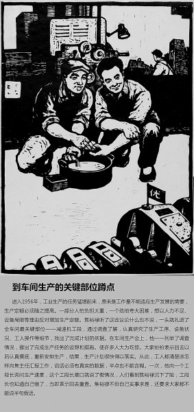 焦桐枝繁叶茂 会它千顷澄碧