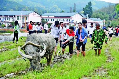 乡村博物馆：留存乡愁记忆 传承农耕文化