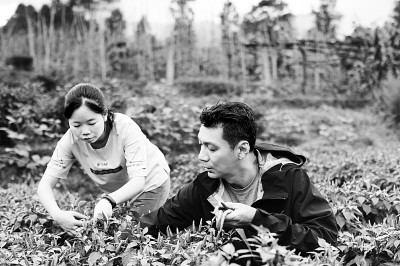 全媒体时代影视作品开拓对外传播新路径 全媒体时代影视作品开拓对外传播新路径