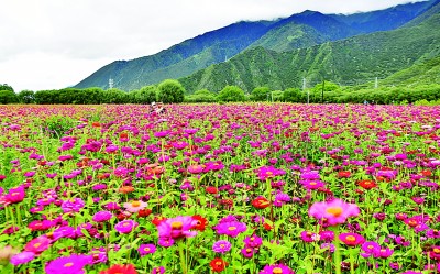 绽放在“生命禁区”的格桑花——老西藏精神（孔繁森精神）述评