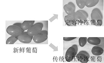 定容冷冻，“冻”住最新鲜