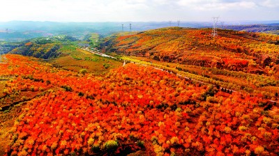 大众旅游新阶段 旅游业如何向上生长