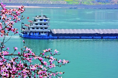 花漫三峡船运忙