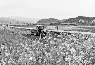 节气教育 在土地上，在生活里