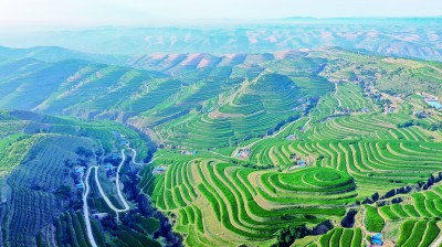 向故乡的土地致以庄重的敬意