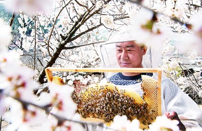 乡村要振兴 语言来帮忙