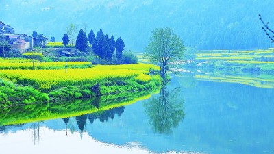 三春时节鸟声稠 三春时节鸟声稠