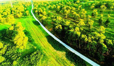 山西右玉荒漠化治理推动绿色发展——在大漠荒原遇见绿水青山