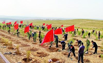 山西右玉荒漠化治理推动绿色发展——在大漠荒原遇见绿水青山