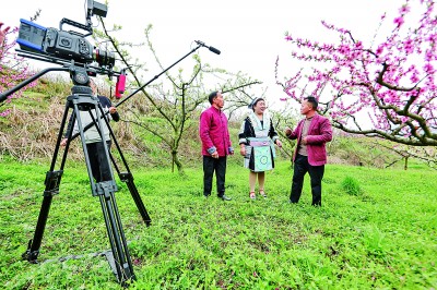 短视频如何答好版权保护这道题