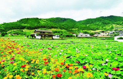 文化产业：为振兴路上的乡村留住乡愁