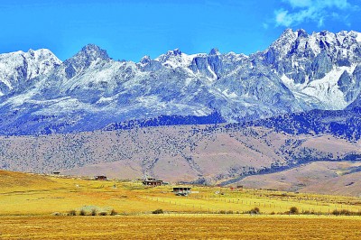 生物多样性保护:在美丽的中国,看生机如此盎然 生物多样性保护:在美丽的中国,看生机如此盎然