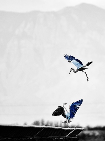 求索与坚守 伴大河奔涌——走近守护黄河的青年人 求索与坚守 伴大河奔涌——走近守护黄河的青年人