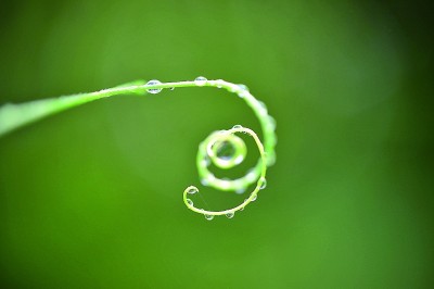 立夏：虫儿鸣，万物生