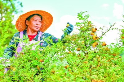 【奋进新征程 建功新时代·伟大变革】水土流失治理持续推进：为美丽中国壮美画卷增色添彩
