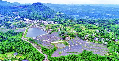 川陕革命老区 巴山深处绿意浓