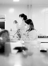 打好“组合拳” 聚力稳就业