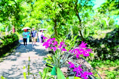 从缺水少地的贫困村到村美民富的样板村