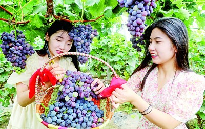 山东：高质量发展积厚成势