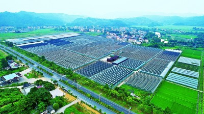 【这些文化遗存现今的模样16】告慰红军好阿哥,拿山今已换新颜 【这些文化遗存现今的模样16】告慰红军好阿哥,拿山今已换新颜