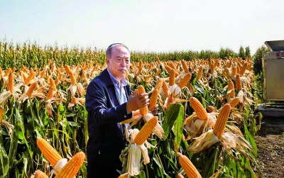 让“耕地中的大熊猫”更好造福人民 让“耕地中的大熊猫”更好造福人民