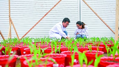 让“耕地中的大熊猫”更好造福人民 让“耕地中的大熊猫”更好造福人民