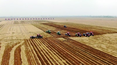 让“耕地中的大熊猫”更好造福人民 让“耕地中的大熊猫”更好造福人民