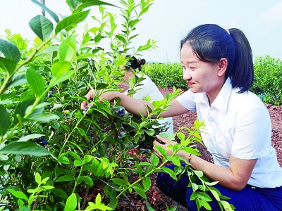 长白山脚下，丰收图景惹人醉